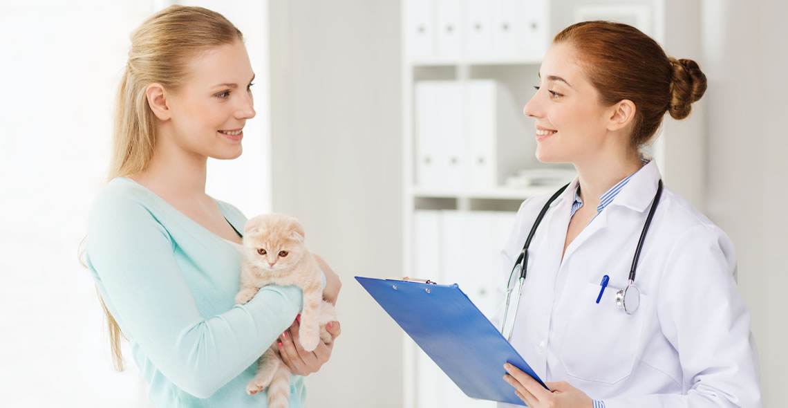 Veterinary Support Assistant Diploma