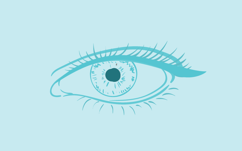 Module 11 : Eyeliner Techniques