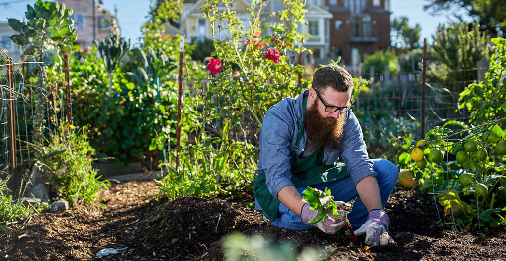 Combined Urban and Zen Gardening Certification