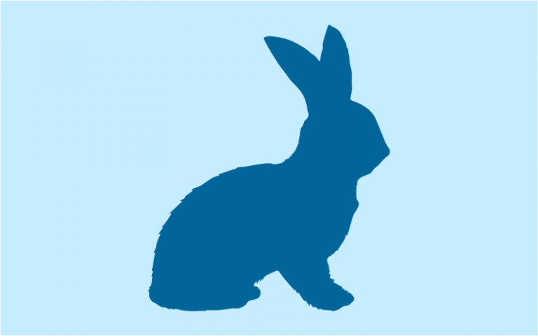 Module 24: Understanding Rabbits and Rabbit Psychology