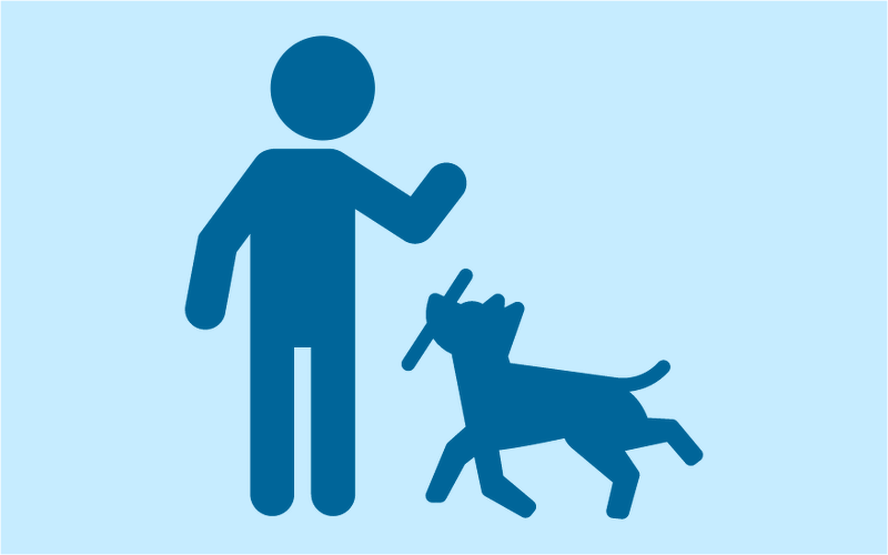 Module 10 : History of Animal Training