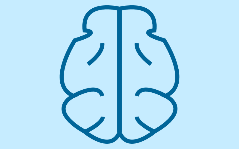 Module 5 : About Animals' Brains