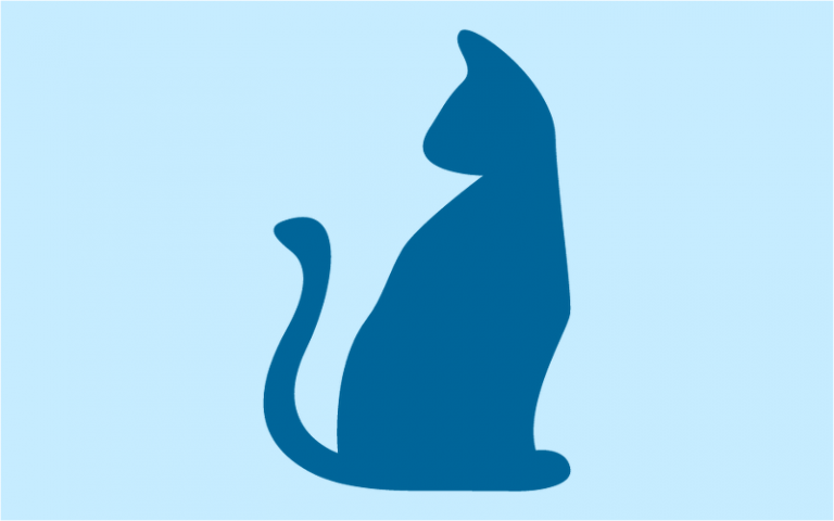 Module 20: What Feline Actions Mean