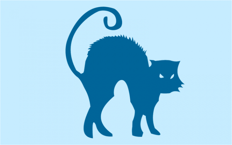 Module 23: Cat Anxiety, Fear and Aggression