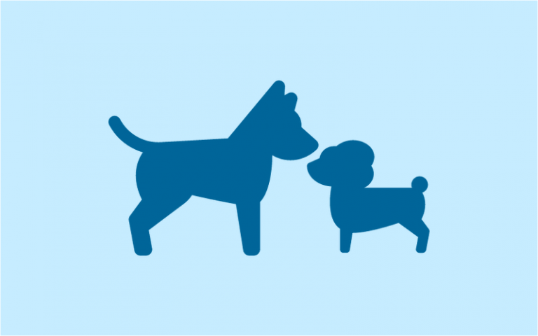 Module 11 : Typical Dog Behaviour