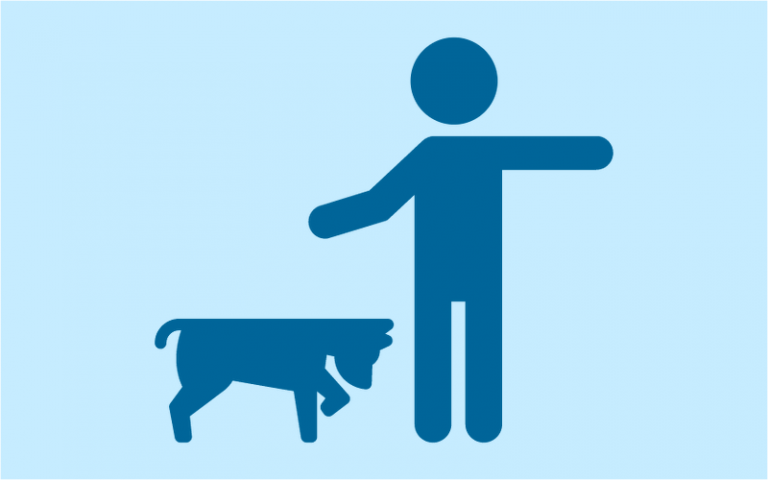 Module 12 : How Dogs Learn