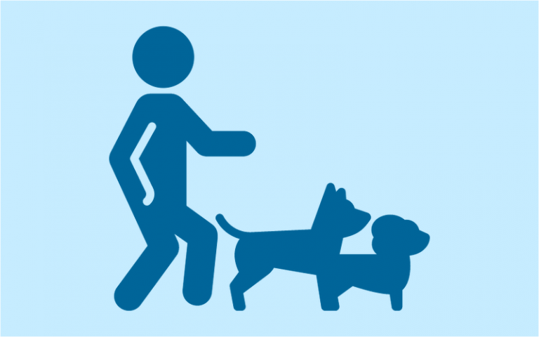 Module 16: Training Dogs: More on How Dogs Learn