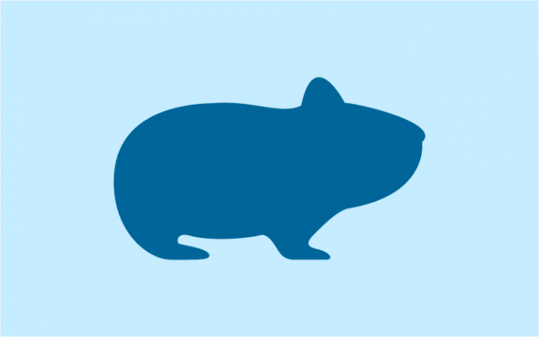 Module 25: Understanding Hamsters and Gerbils