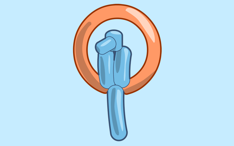 Module 16: How to Make a Balloon Parrot
