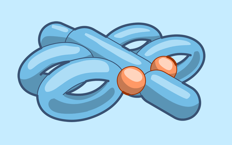Module 17: How to Make a Balloon Crocodile