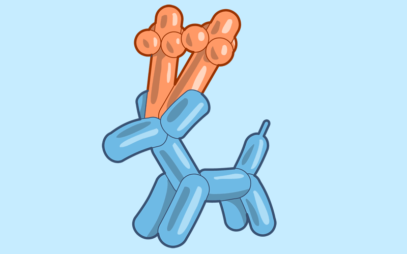 Module 18: How to Make a Balloon Reindeer