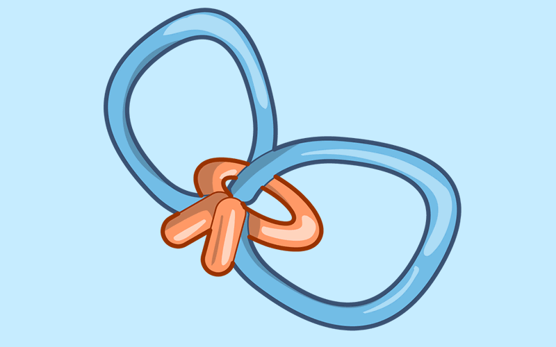 Module 24: How to Make Balloon Fairy Wings
