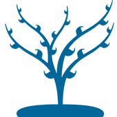 branch