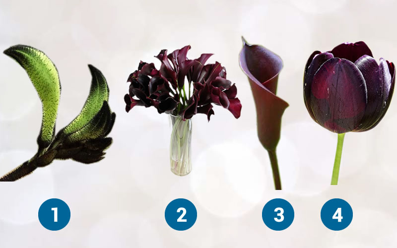 Module 3 : What You Need To Know About Flowers and Plants - New Skills