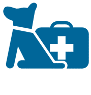 first-aid-animal