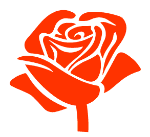 rose